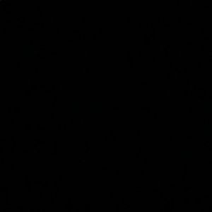 Meet your Posher, Pedro